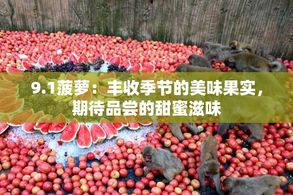 9.1菠萝：丰收季节的美味果实，期待品尝的甜蜜滋味