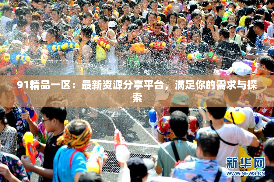 91精品一区：最新资源分享平台，满足你的需求与探索