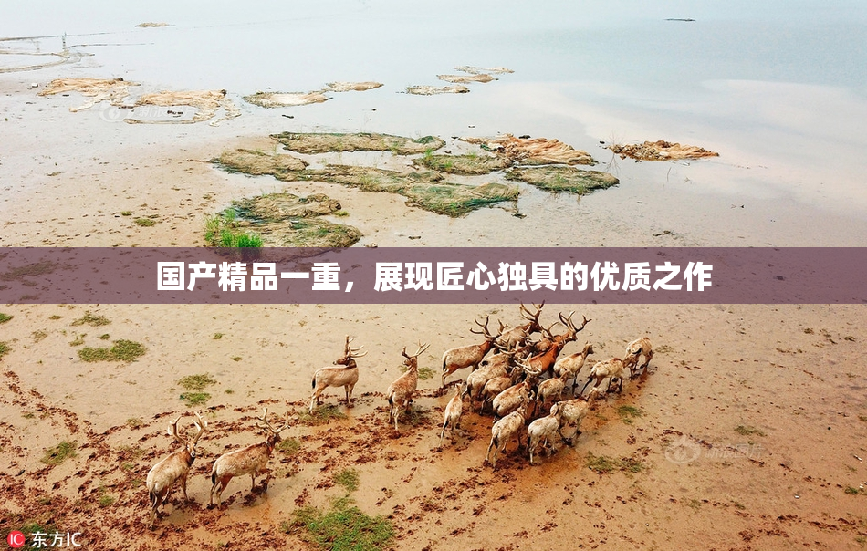 国产精品一重，展现匠心独具的优质之作