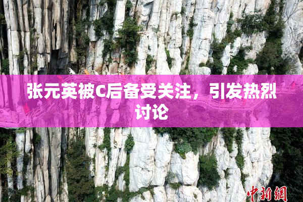 张元英被C后备受关注，引发热烈讨论