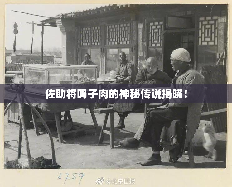 佐助将鸣子肉的神秘传说揭晓！