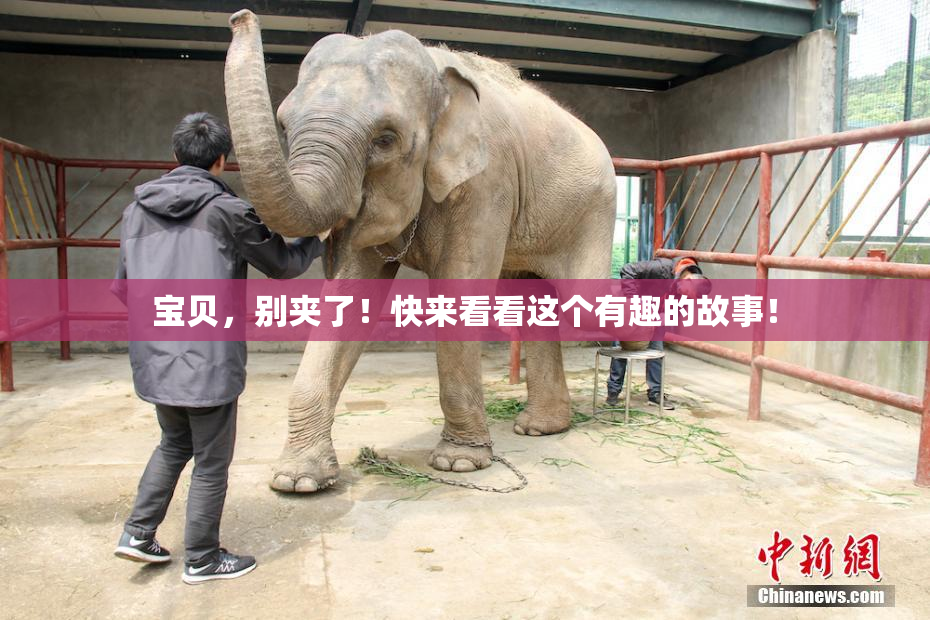 宝贝，别夹了！快来看看这个有趣的故事！