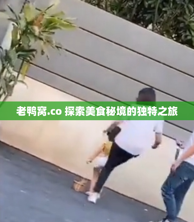 老鸭窝.co 探索美食秘境的独特之旅
