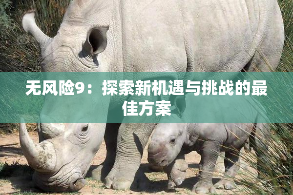 无风险9：探索新机遇与挑战的最佳方案