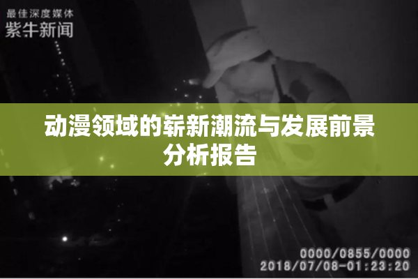 动漫领域的崭新潮流与发展前景分析报告