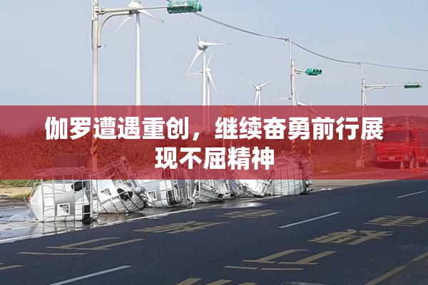 伽罗遭遇重创，继续奋勇前行展现不屈精神