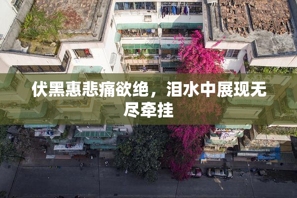 伏黑惠悲痛欲绝，泪水中展现无尽牵挂