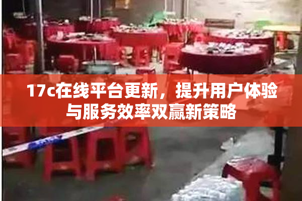 17c在线平台更新，提升用户体验与服务效率双赢新策略