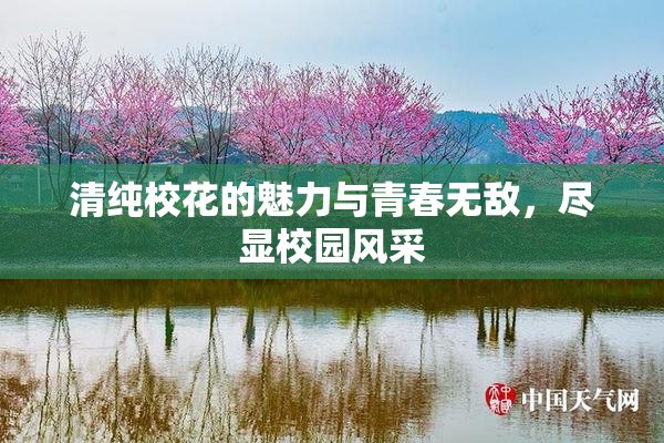清纯校花的魅力与青春无敌，尽显校园风采