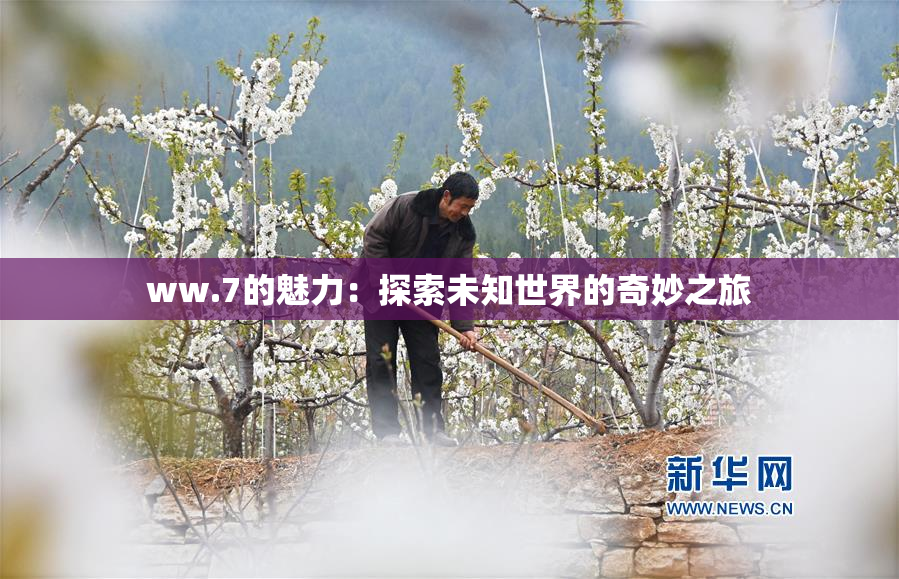 ww.7的魅力：探索未知世界的奇妙之旅