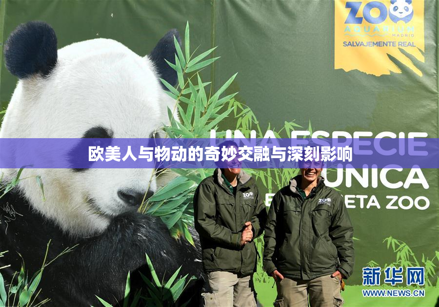 欧美人与物动的奇妙交融与深刻影响
