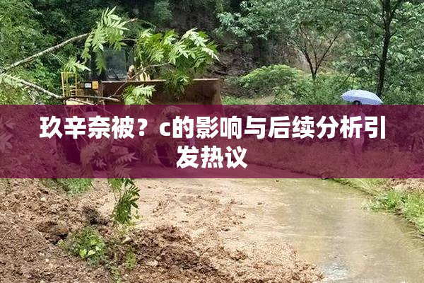 玖辛奈被？c的影响与后续分析引发热议