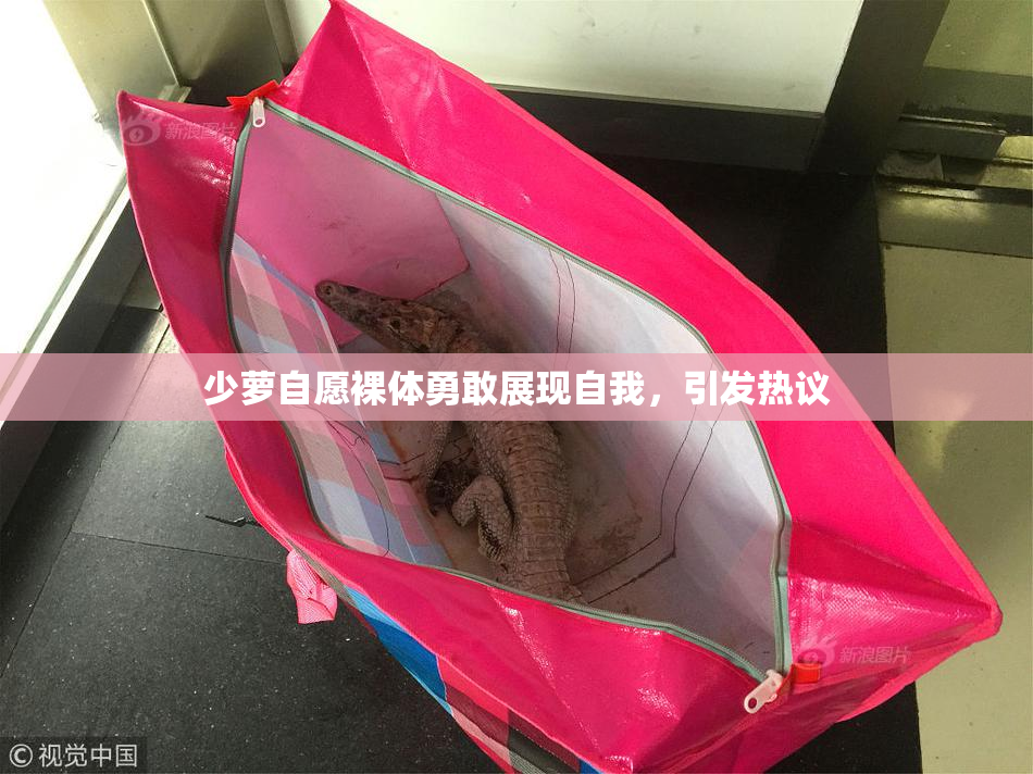 少萝自愿裸体勇敢展现自我，引发热议