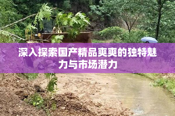 深入探索国产精品爽爽的独特魅力与市场潜力