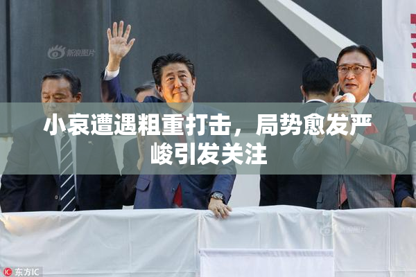 小哀遭遇粗重打击，局势愈发严峻引发关注