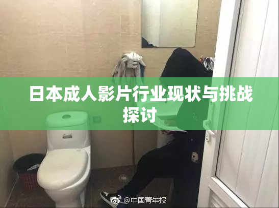 日本成人影片行业现状与挑战探讨