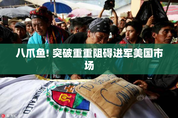 八爪鱼! 突破重重阻碍进军美国市场