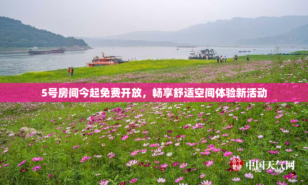 5号房间今起免费开放，畅享舒适空间体验新活动