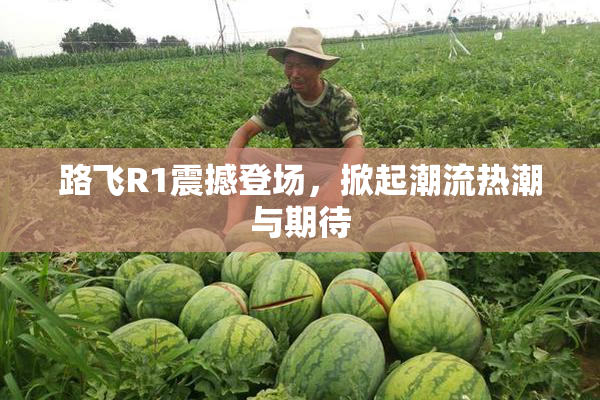 路飞R1震撼登场，掀起潮流热潮与期待