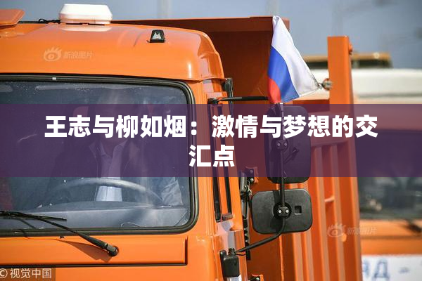 王志与柳如烟：激情与梦想的交汇点