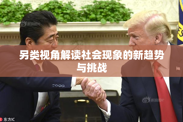 另类视角解读社会现象的新趋势与挑战