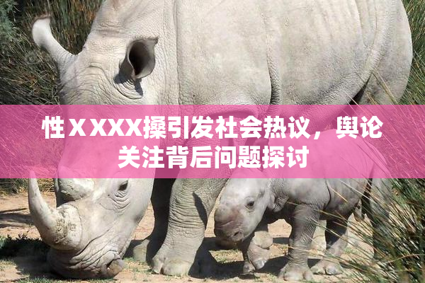 性ⅩXXX搡引发社会热议，舆论关注背后问题探讨