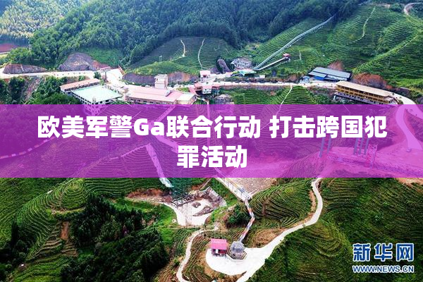 欧美军警Ga联合行动 打击跨国犯罪活动