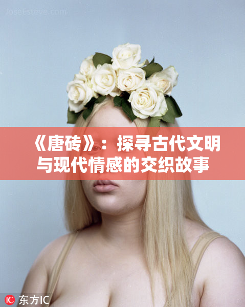 《唐砖》：探寻古代文明与现代情感的交织故事