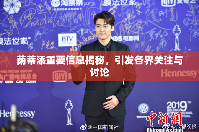 荫蒂添重要信息揭秘，引发各界关注与讨论