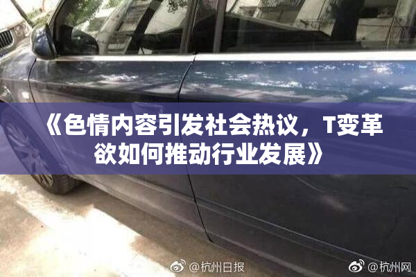 《色情内容引发社会热议，T变革欲如何推动行业发展》