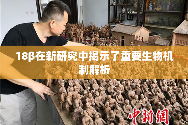 18β在新研究中揭示了重要生物机制解析