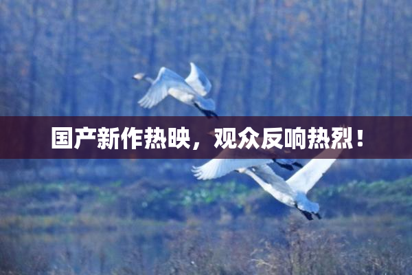 国产新作热映，观众反响热烈！