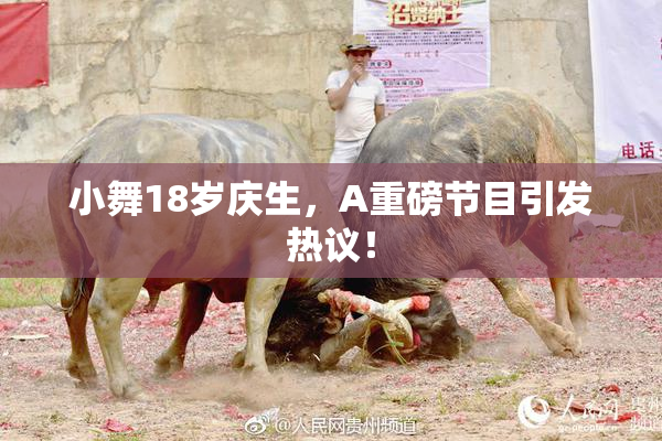 小舞18岁庆生，A重磅节目引发热议！