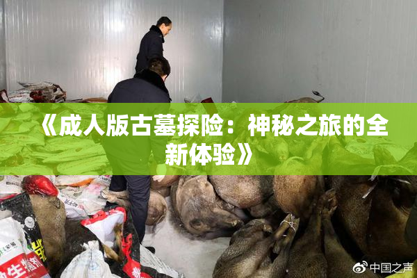 《成人版古墓探险：神秘之旅的全新体验》