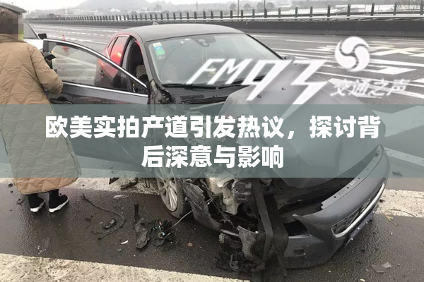 欧美实拍产道引发热议，探讨背后深意与影响