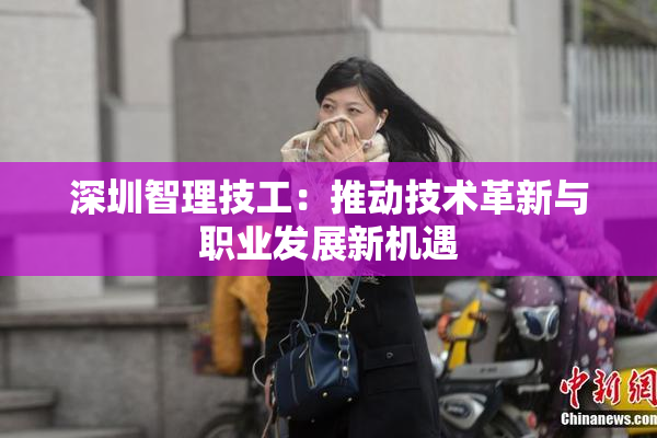 深圳智理技工：推动技术革新与职业发展新机遇