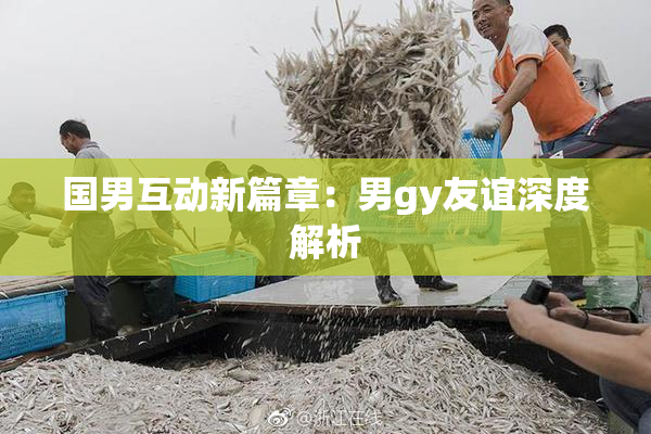 国男互动新篇章：男gy友谊深度解析