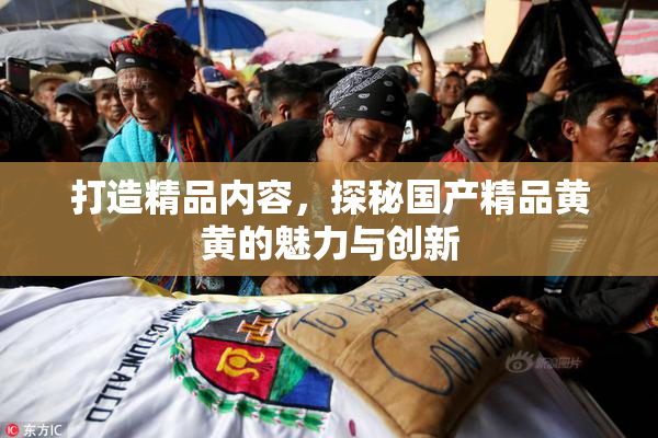 打造精品内容，探秘国产精品黄黄的魅力与创新