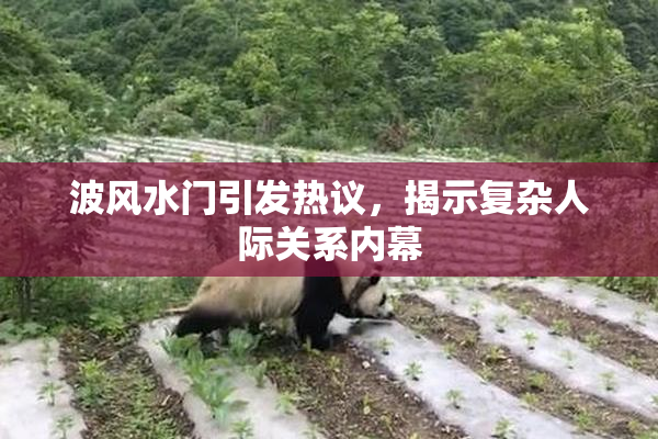 波风水门引发热议，揭示复杂人际关系内幕