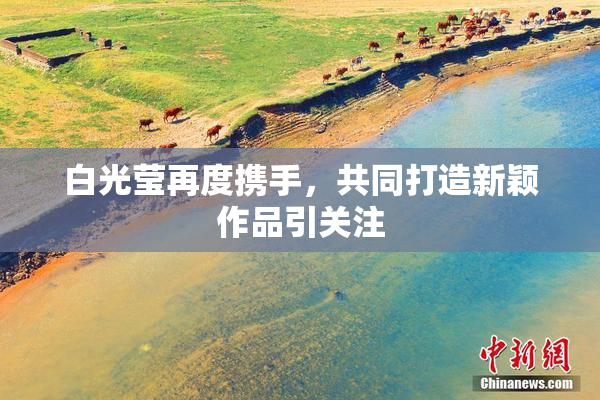 白光莹再度携手，共同打造新颖作品引关注