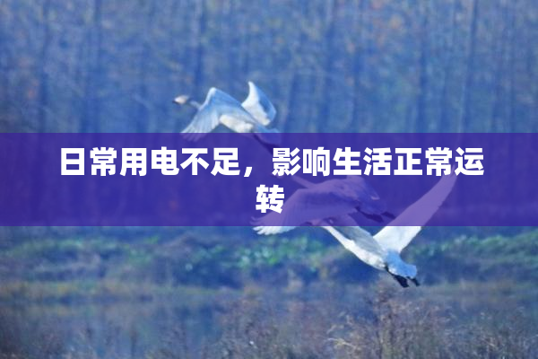 日常用电不足，影响生活正常运转