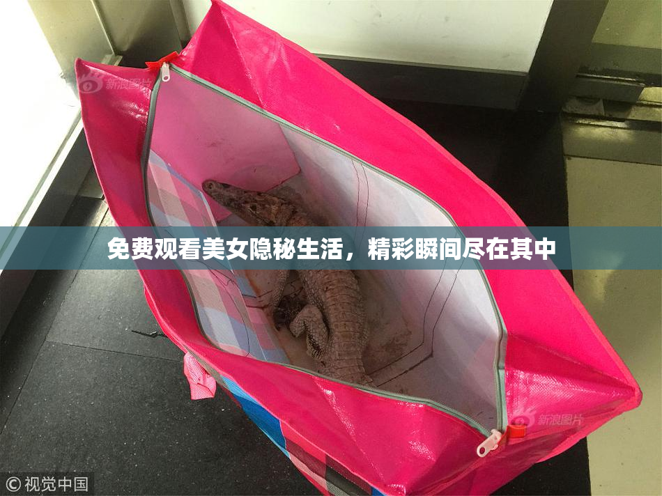 免费观看美女隐秘生活，精彩瞬间尽在其中