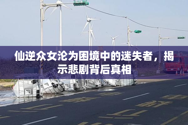 仙逆众女沦为困境中的迷失者，揭示悲剧背后真相
