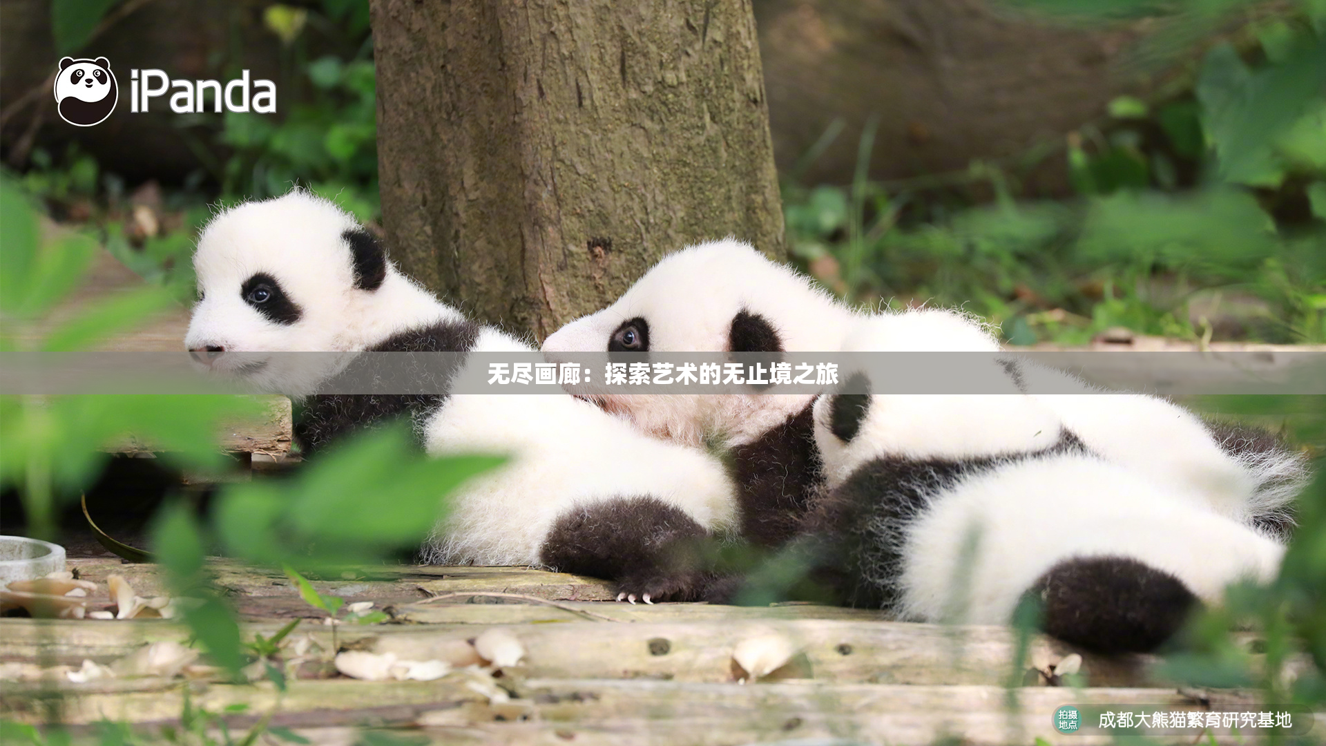 无尽画廊：探索艺术的无止境之旅