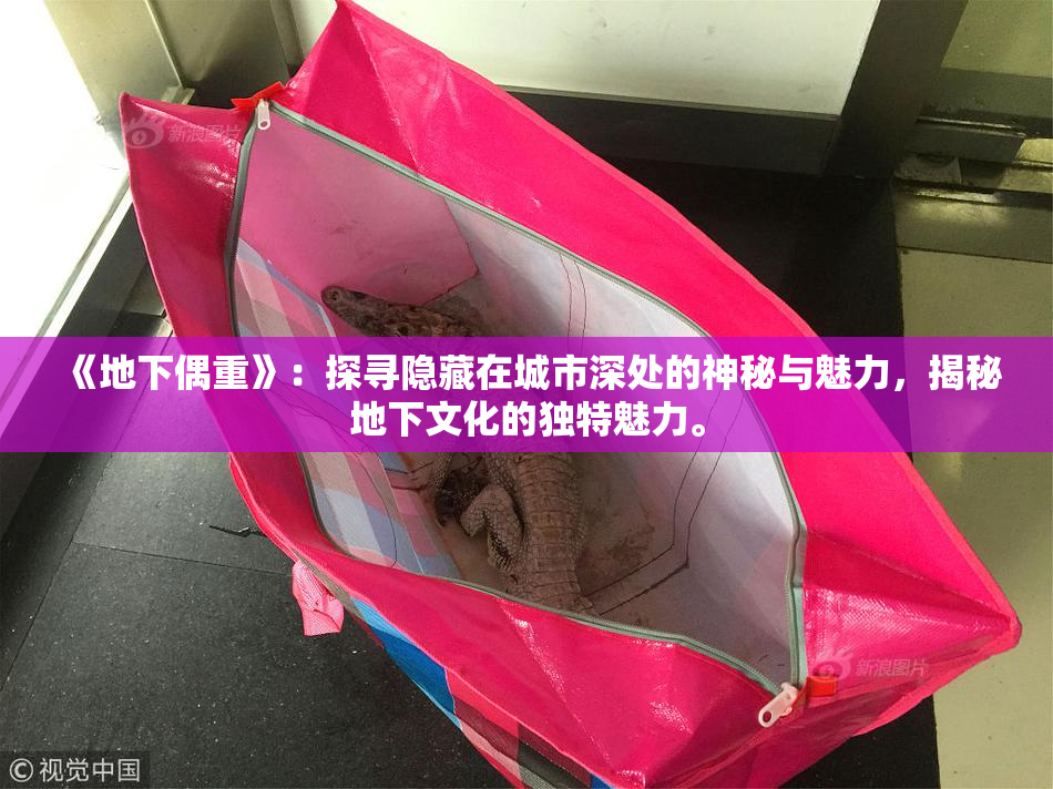《地下偶重》：探寻隐藏在城市深处的神秘与魅力，揭秘地下文化的独特魅力。