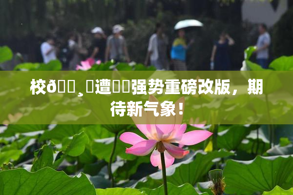 校🌸‌遭❌‌强势重磅改版，期待新气象！