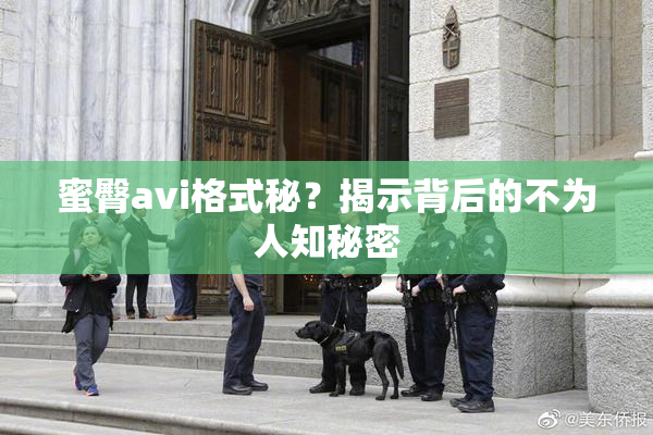 蜜臀avi格式秘？揭示背后的不为人知秘密