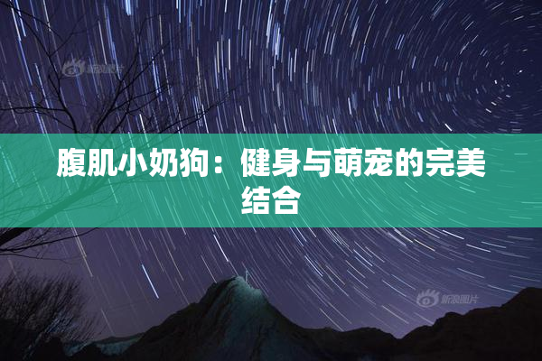 腹肌小奶狗：健身与萌宠的完美结合