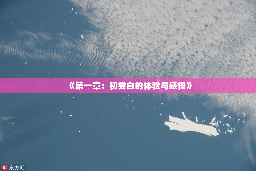 《第一章：初尝白的体验与感悟》