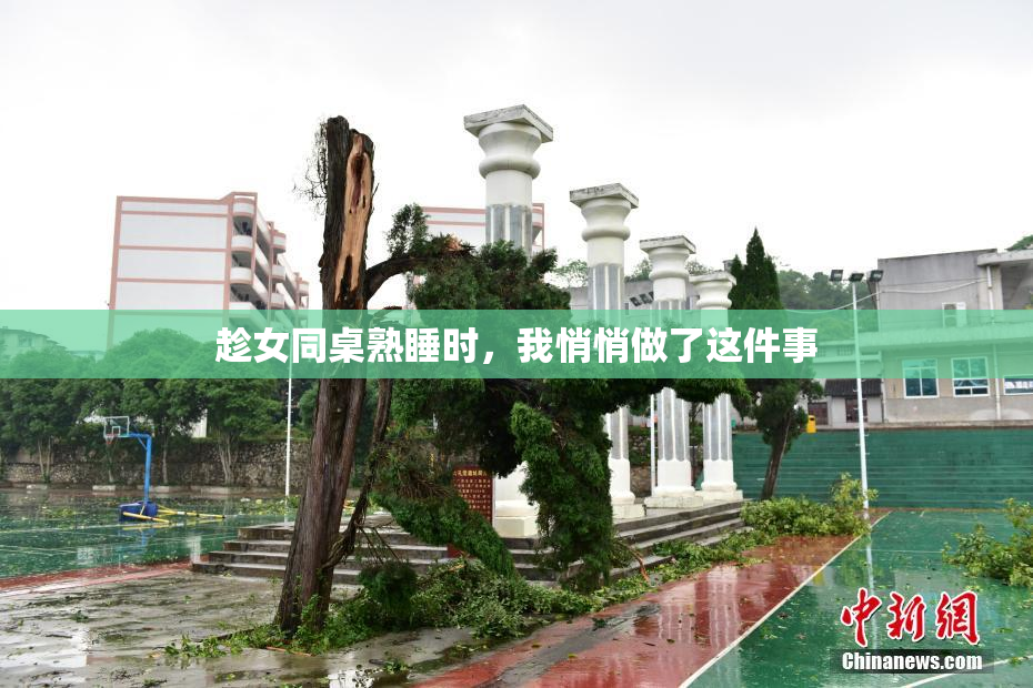 趁女同桌熟睡时，我悄悄做了这件事